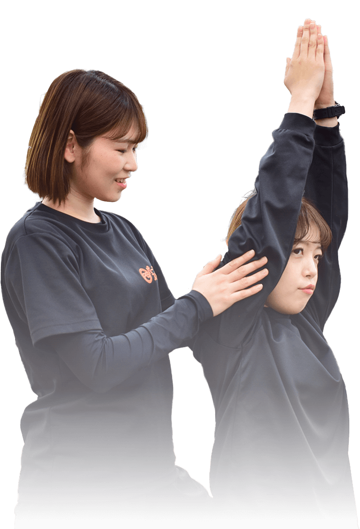 メンバーのお仕事
